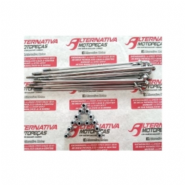 RAIO XTZ 125 TRASEIRO CROMADO 4MM DDL