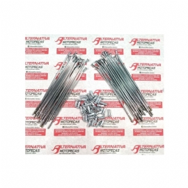 RAIO XTZ 125 DIANTEIRO CROMADO 4MM DDL