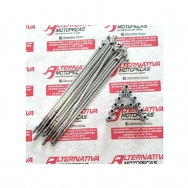RAIO YBR 125 TRASEIRO CROMADO DDL