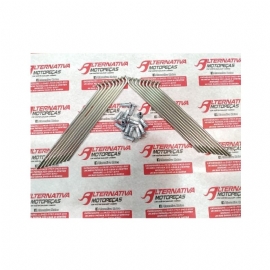 RAIO POP/BIZ 100 TRASEIRO ZINCADO DDL
