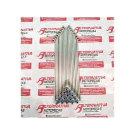 RAIO XRE 300 DIANTEIRO ZINCADO DDL